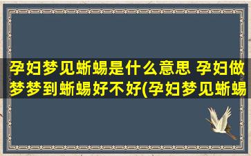 孕妇梦见蜥蜴是什么意思 孕妇做梦梦到蜥蜴好不好(孕妇梦见蜥蜴意味着什么？解梦专家来告诉你！)